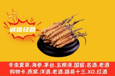 玉树州曲麻莱县回收冬虫夏草